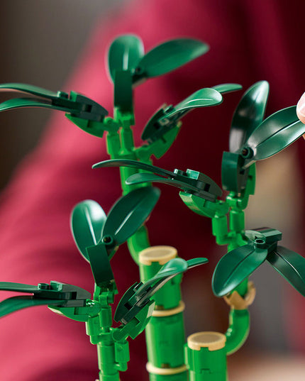 LEGO® ICONS Botanicals Lucky Bamboo Plant Set 10344