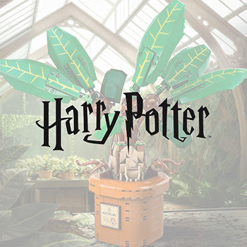 LEGO® Harry Potter™ Sets
