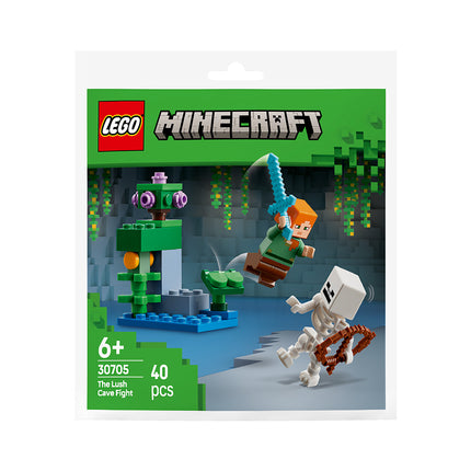 Collection image for: LEGO® Minecraft