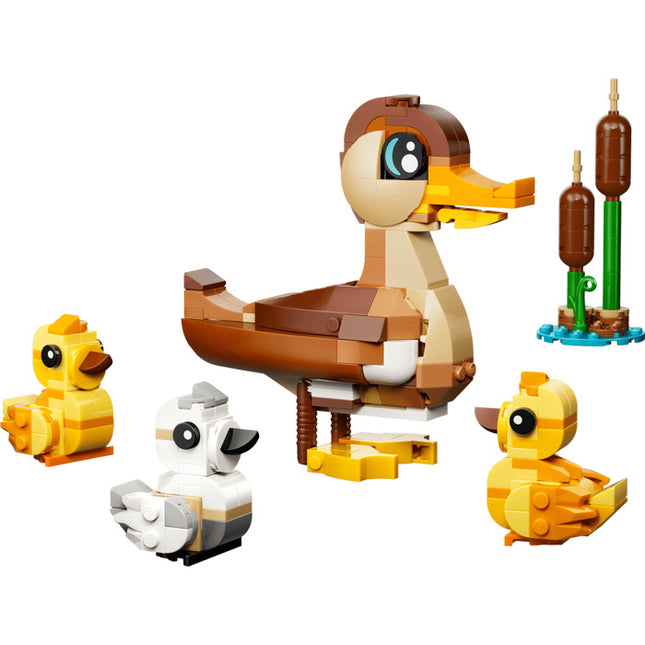Creator: Duck Family